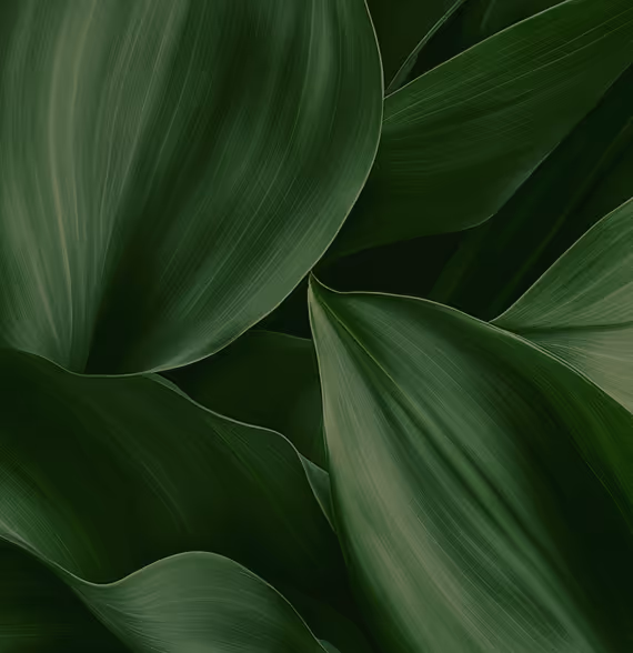 Natural editorial texture, used as the backdrop for the Pure Silicium UAE craftsmanship tile